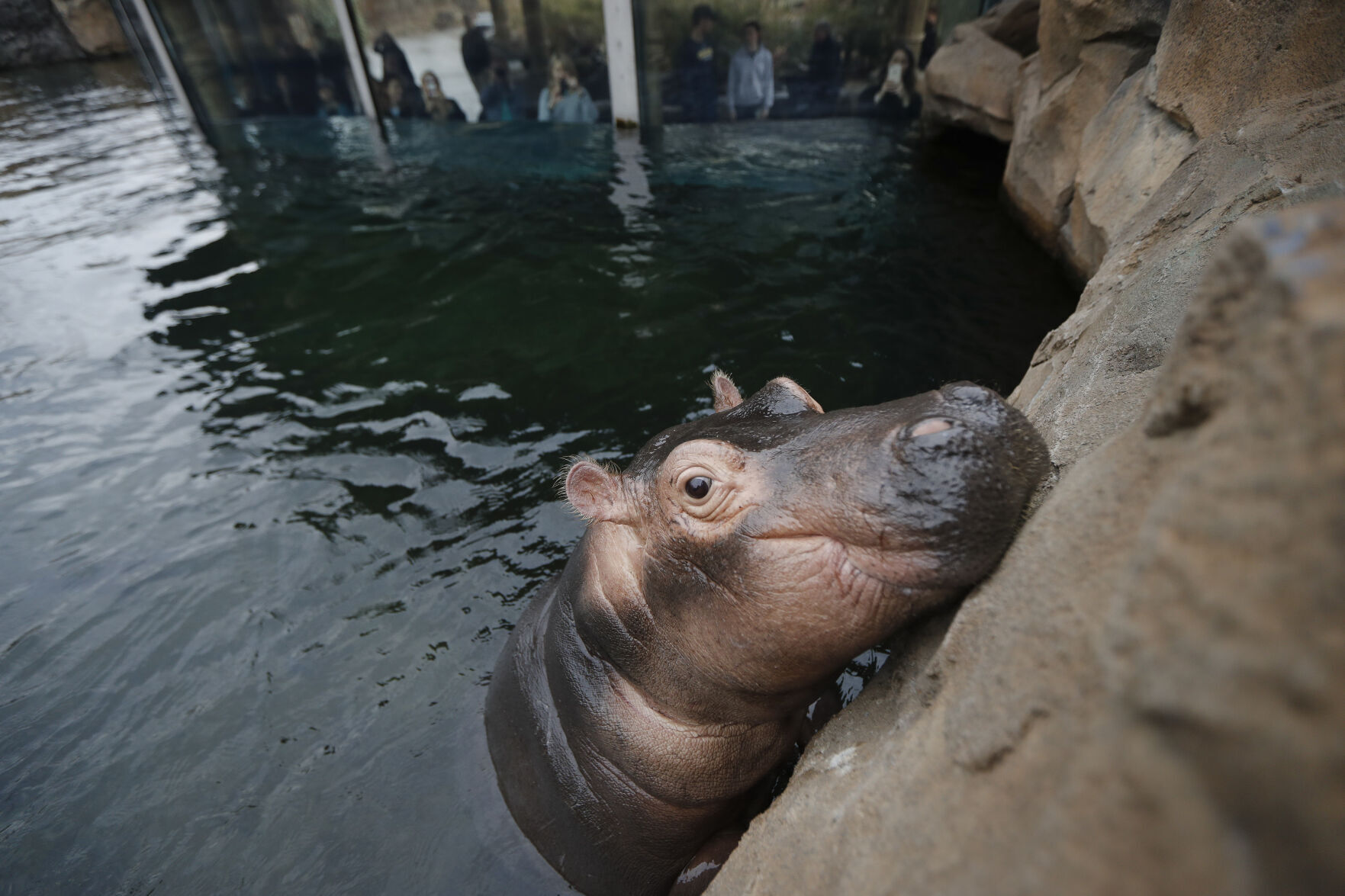 Fiona